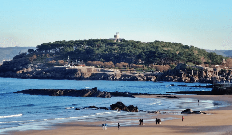 贸易数据,贸易数据查询,贸易数据查询平台